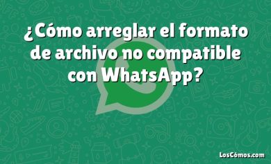 ¿Cómo arreglar el formato de archivo no compatible con WhatsApp?