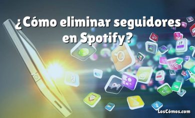 ¿Cómo eliminar seguidores en Spotify?