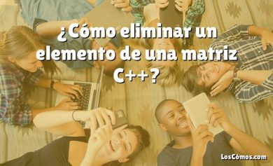 ¿Cómo eliminar un elemento de una matriz C++?