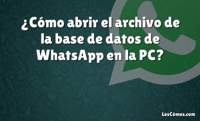 ¿Cómo abrir el archivo de la base de datos de WhatsApp en la PC?