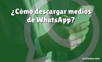 ¿Cómo descargar medios de WhatsApp?