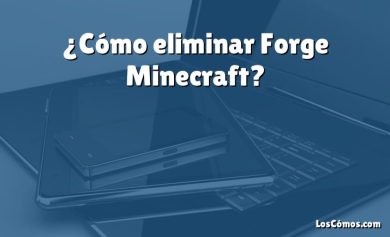 ¿Cómo eliminar Forge Minecraft?
