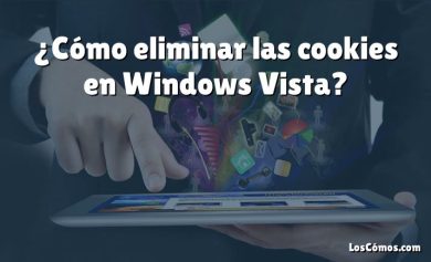 ¿Cómo eliminar las cookies en Windows Vista?
