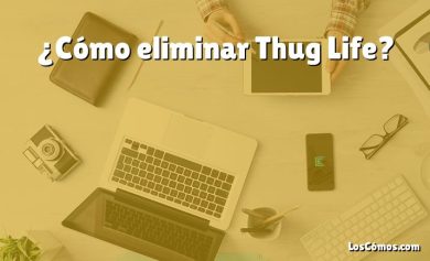 ¿Cómo eliminar Thug Life?