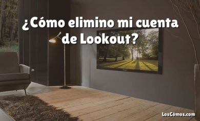 ¿Cómo elimino mi cuenta de Lookout?