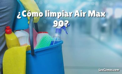 ¿Cómo limpiar Air Max 90?