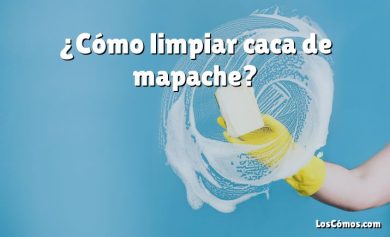 ¿Cómo limpiar caca de mapache?