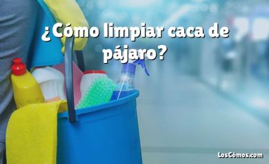 ¿Cómo limpiar caca de pájaro?