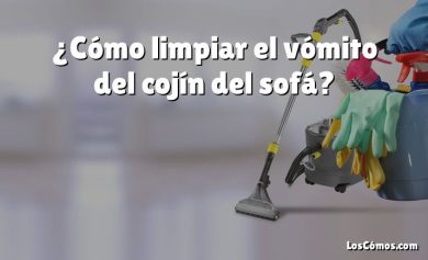 ¿Cómo limpiar el vómito del cojín del sofá?