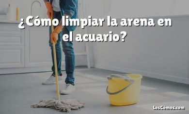 ¿Cómo limpiar la arena en el acuario?