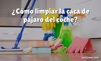 ¿Cómo limpiar la caca de pájaro del coche?