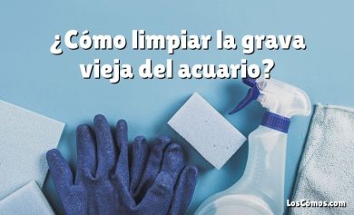 ¿Cómo limpiar la grava vieja del acuario?