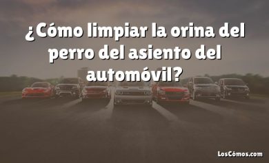 ¿Cómo limpiar la orina del perro del asiento del automóvil?