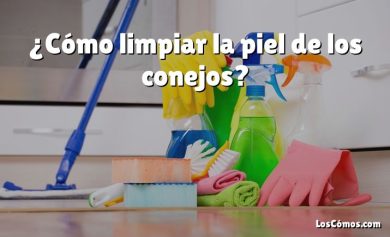 ¿Cómo limpiar la piel de los conejos?