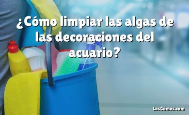 ¿Cómo limpiar las algas de las decoraciones del acuario?