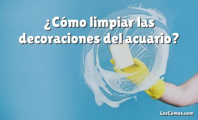 ¿Cómo limpiar las decoraciones del acuario?