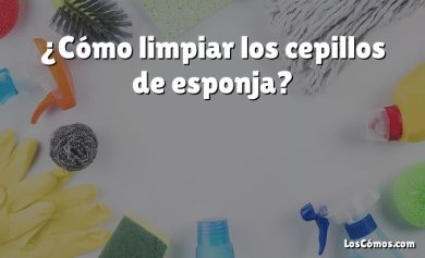 ¿Cómo limpiar los cepillos de esponja?