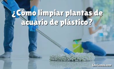 ¿Cómo limpiar plantas de acuario de plástico?
