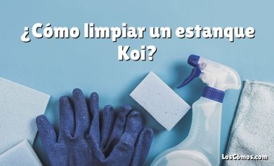 ¿Cómo limpiar un estanque Koi?