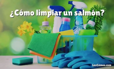 ¿Cómo limpiar un salmón?