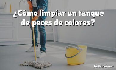 ¿Cómo limpiar un tanque de peces de colores?