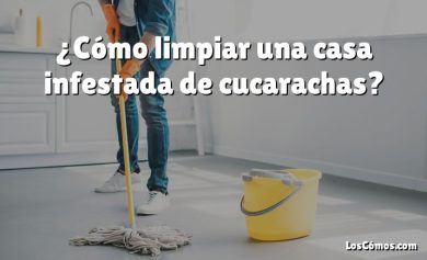 ¿Cómo limpiar una casa infestada de cucarachas?