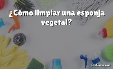¿Cómo limpiar una esponja vegetal?