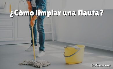 ¿Cómo limpiar una flauta?