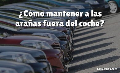 ¿Cómo mantener a las arañas fuera del coche?