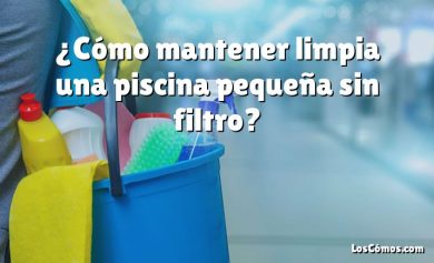 ¿Cómo mantener limpia una piscina pequeña sin filtro?