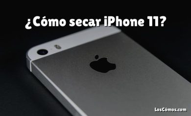 ¿Cómo secar iPhone 11?