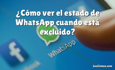 ¿Cómo ver el estado de WhatsApp cuando está excluido?