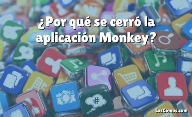 ¿Por qué se cerró la aplicación Monkey?