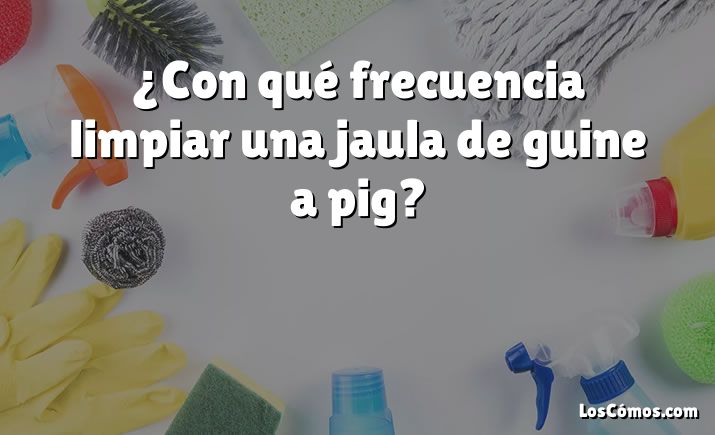 ¿Con qué frecuencia limpiar una jaula de guine a pig?
