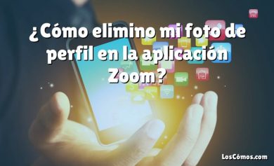 ¿Cómo elimino mi foto de perfil en la aplicación Zoom?