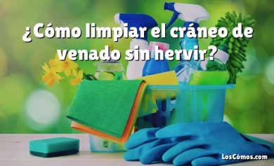 ¿Cómo limpiar el cráneo de venado sin hervir?