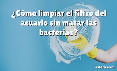¿Cómo limpiar el filtro del acuario sin matar las bacterias?