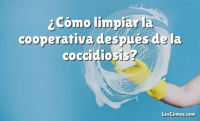 ¿Cómo limpiar la cooperativa después de la coccidiosis?