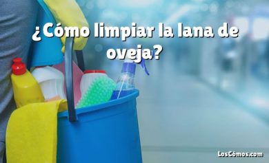 ¿Cómo limpiar la lana de oveja?