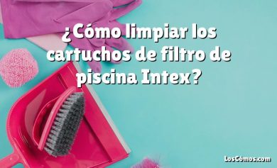 ¿Cómo limpiar los cartuchos de filtro de piscina Intex?