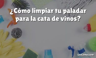 ¿Cómo limpiar tu paladar para la cata de vinos?