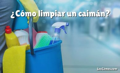 ¿Cómo limpiar un caimán?