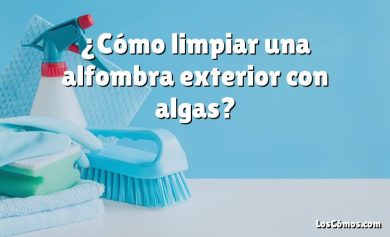 ¿Cómo limpiar una alfombra exterior con algas?